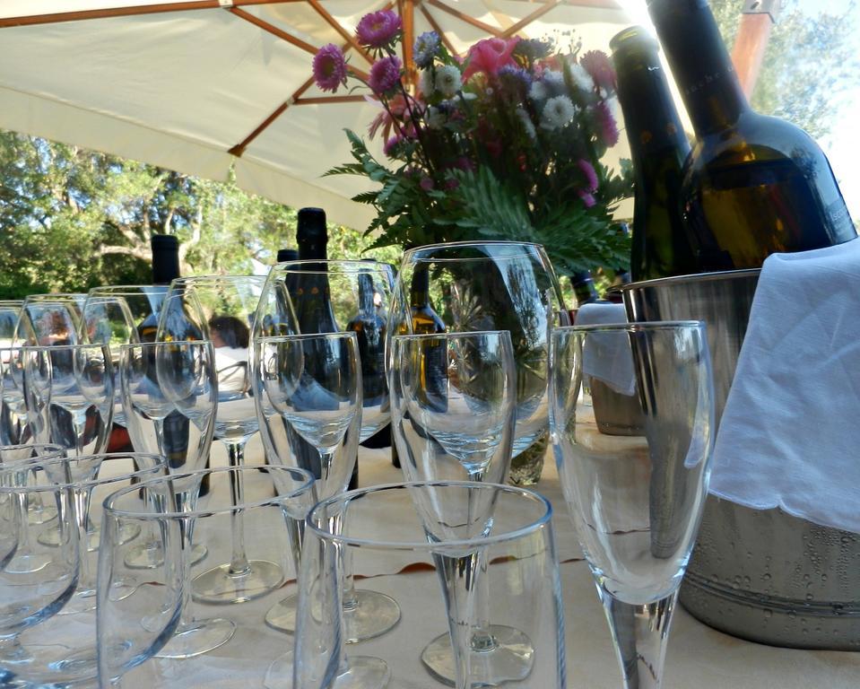 Tenuta Terre Di Bosco Oasi Di Relax Nel Cilento San Giovanni a Piro Ngoại thất bức ảnh