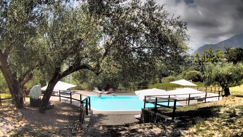 Tenuta Terre Di Bosco Oasi Di Relax Nel Cilento San Giovanni a Piro Ngoại thất bức ảnh