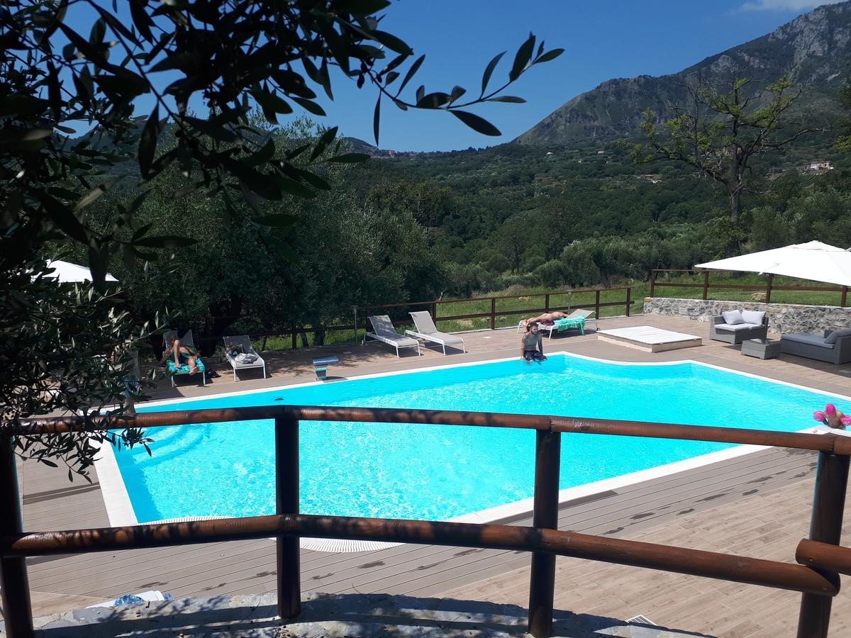 Tenuta Terre Di Bosco Oasi Di Relax Nel Cilento San Giovanni a Piro Ngoại thất bức ảnh