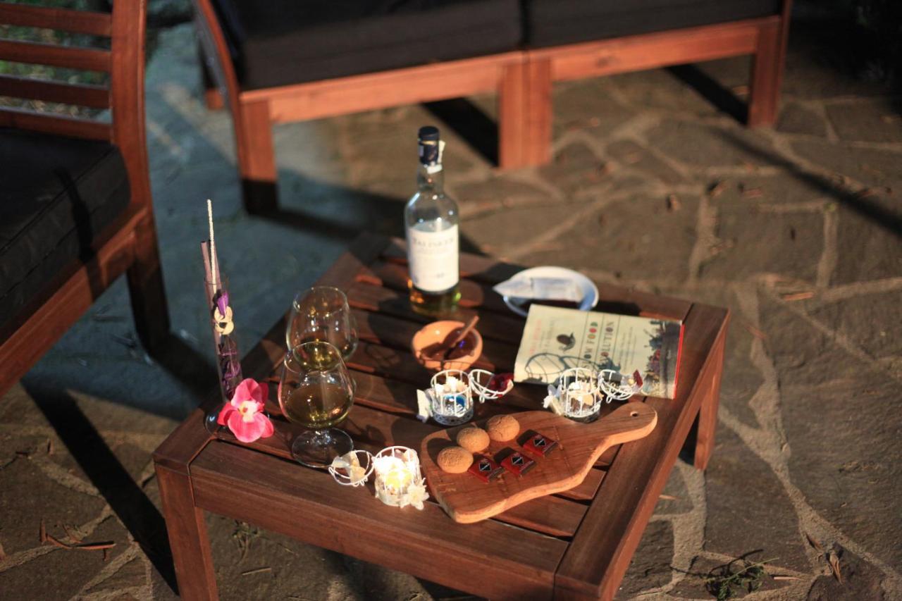 Tenuta Terre Di Bosco Oasi Di Relax Nel Cilento San Giovanni a Piro Ngoại thất bức ảnh